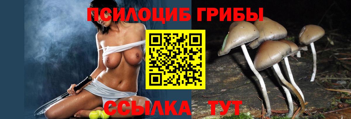 Галлюциногенные грибы мицелий Камень-на-Оби